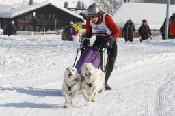Lenk 2012 SM